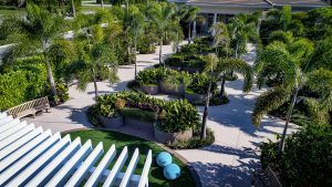 An overview of the garden from above the pergola. A spacious curved trellis serves as a welcoming transition from the elementary school to the garden. The adjacent activity space, an oval “lawn” of resilient paving, features a variety of fixed and movable seating choices.